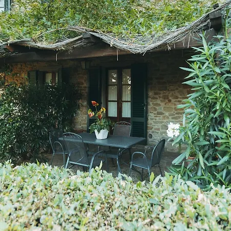 Rustic In With Swimming Pool Cortona
